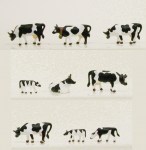 9_vaches_noires__4998aa593d75b.jpg