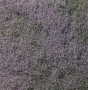 Sachet_d_cor_fle_49cff8efed05e.jpg